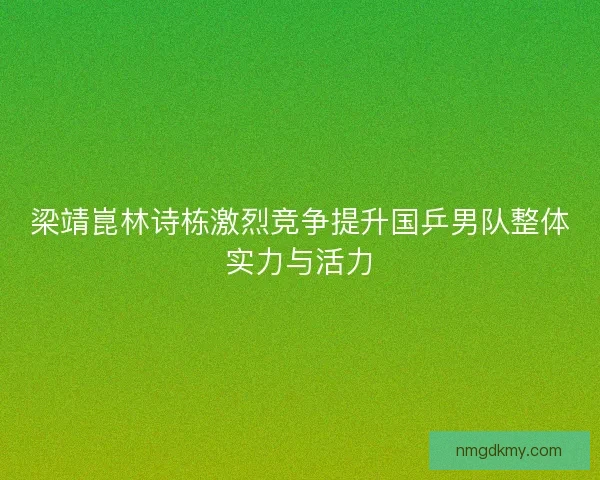 梁靖崑林诗栋激烈竞争提升国乒男队整体实力与活力