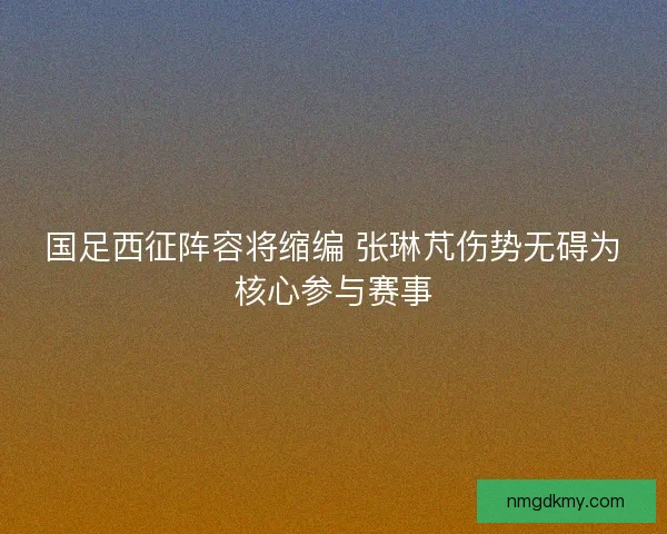 国足西征阵容将缩编 张琳芃伤势无碍为核心参与赛事