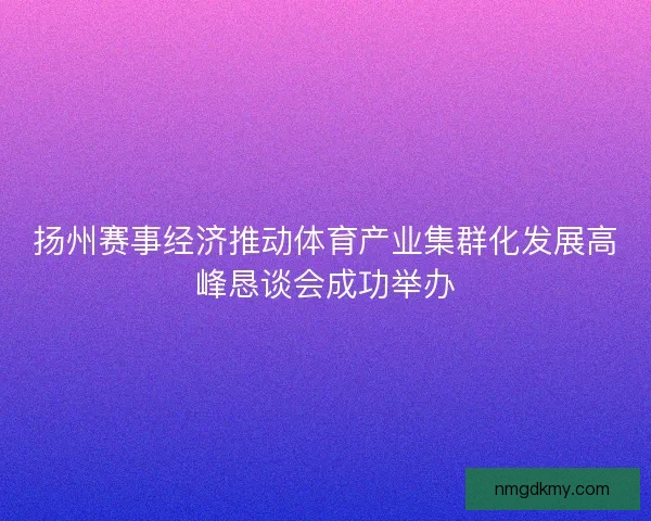扬州赛事经济推动体育产业集群化发展高峰恳谈会成功举办