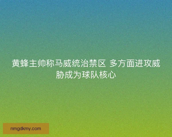 黄蜂主帅称马威统治禁区 多方面进攻威胁成为球队核心